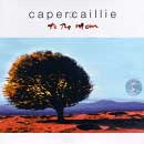 Capercaillie - To the Moon